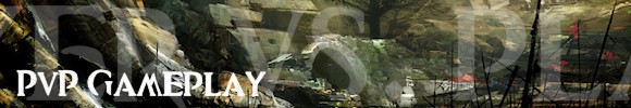 pvp-1345578360.jpg
