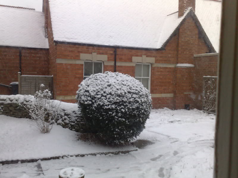 02022009286.jpg
