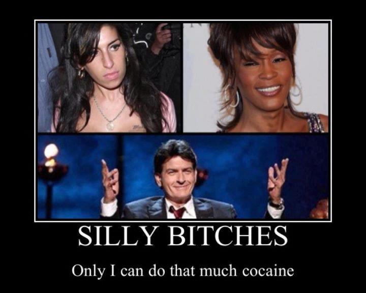 silly-bitches-only-ican-do-that-much-cocaine-sheen.jpg