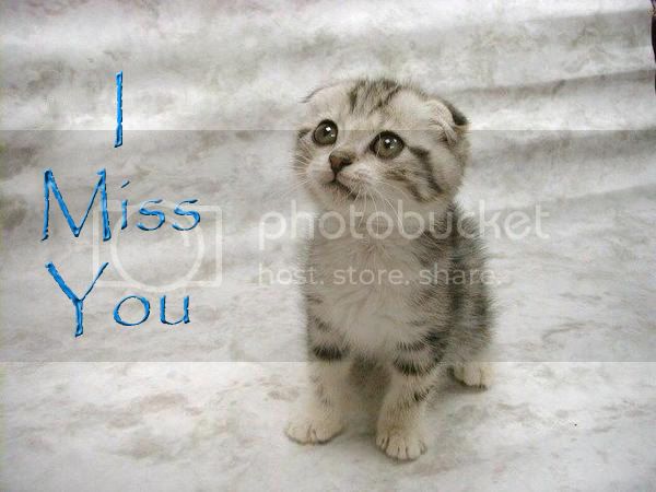 I-miss-you.jpg
