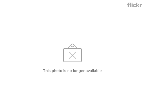 8535194_b84b06c5aa.jpg