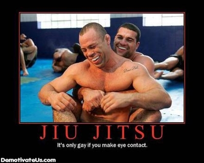 dd5b8-gay_jiujitsu_demotivational_poster.jpg