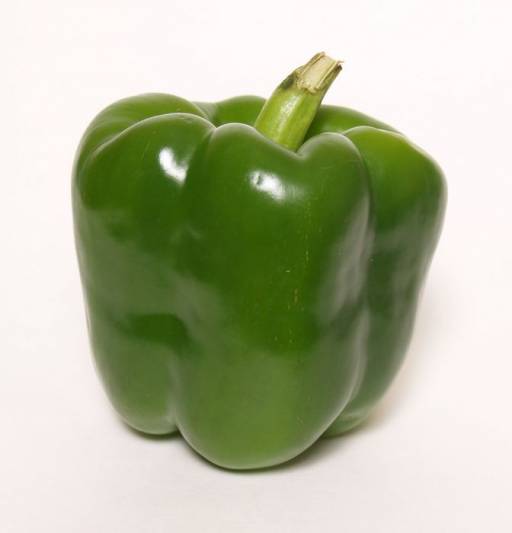 6403_tn_green%20pepper.jpg