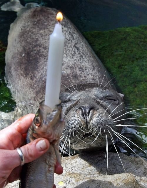 tumblr_l35hwfAl941qznxslo1_500.jpg