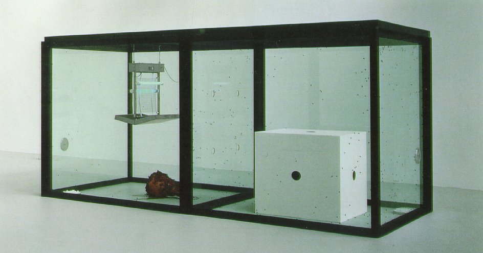 hirst_thousand.jpg