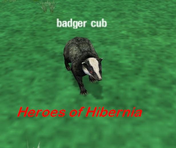 Badger%20Cub.JPG