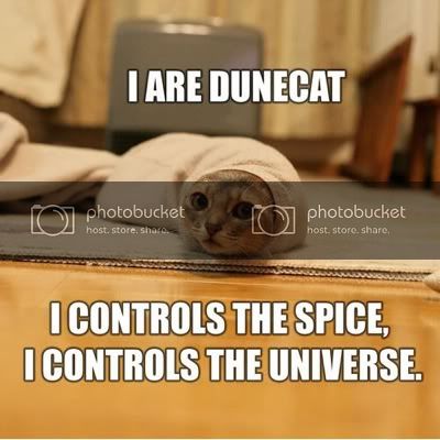 cat-dunecat-lg.jpg