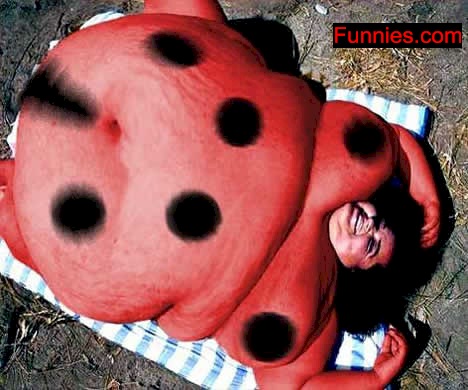 ladybug.jpg