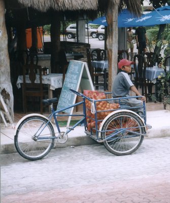557738-medium.jpg
