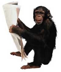 monkey.jpg