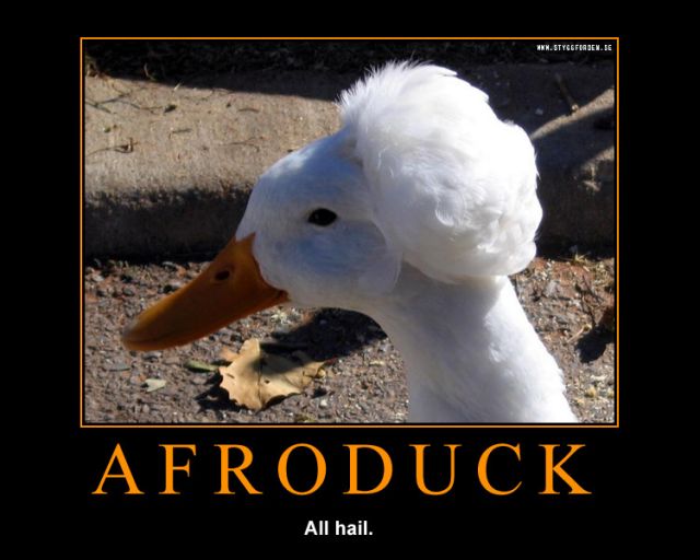 normal_Despair_-_Afroduck.jpg