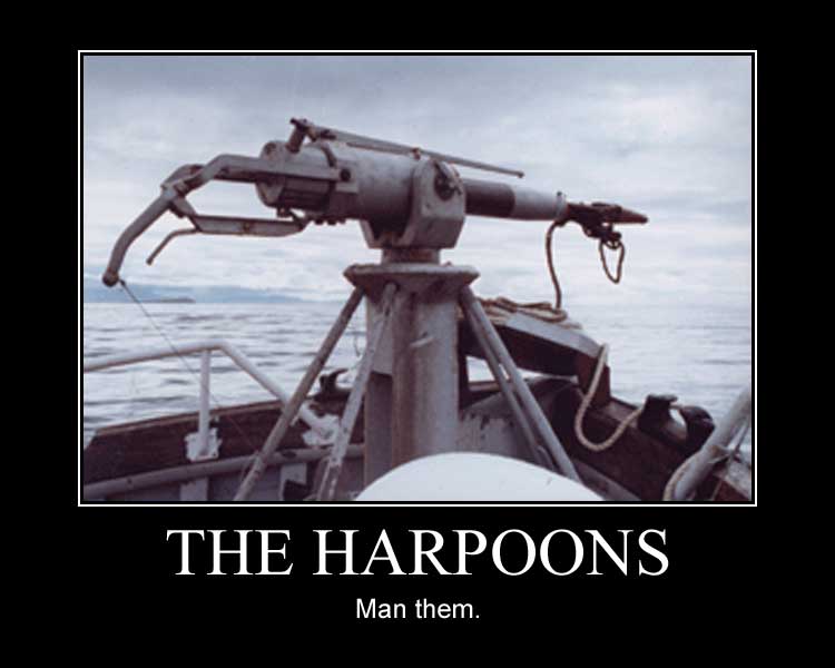 harpoonok1.jpg