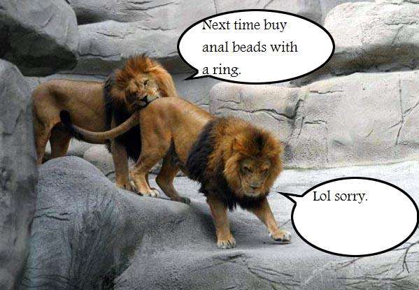 analbeadslion.jpg