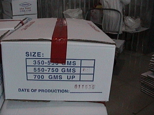 79%20QQ%20Box-2.JPG