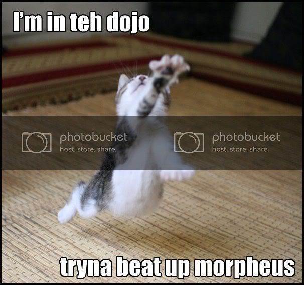 1166518423tehdojocatbfr3.jpg