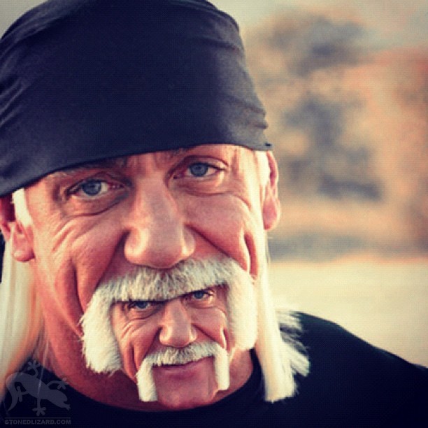 2349898-hulk-hogan-beard.jpg