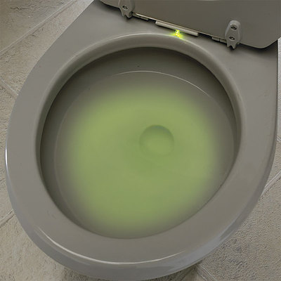 toiletlight.jpg
