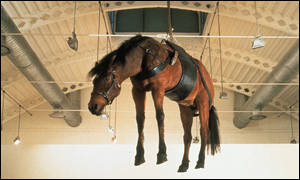 _1411500_horse_300.jpg