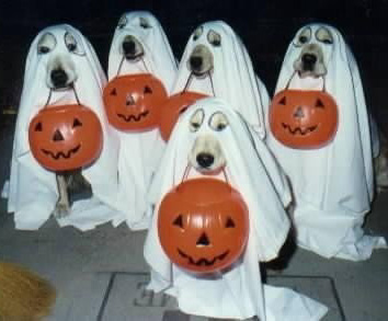 HalloweenDogs02.jpg