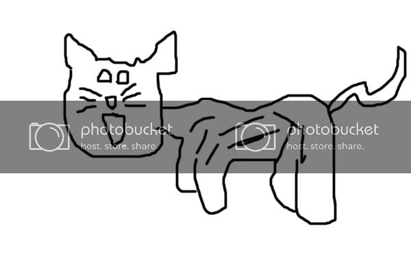 maow.jpg