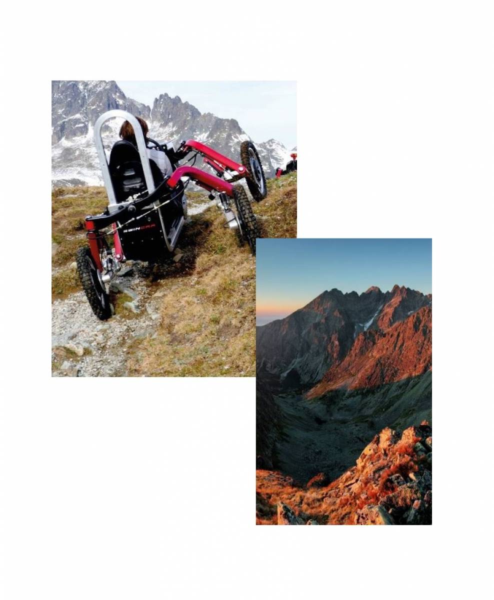 www.swincar.net