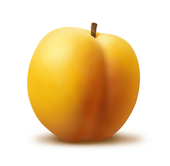 apricot31.jpg