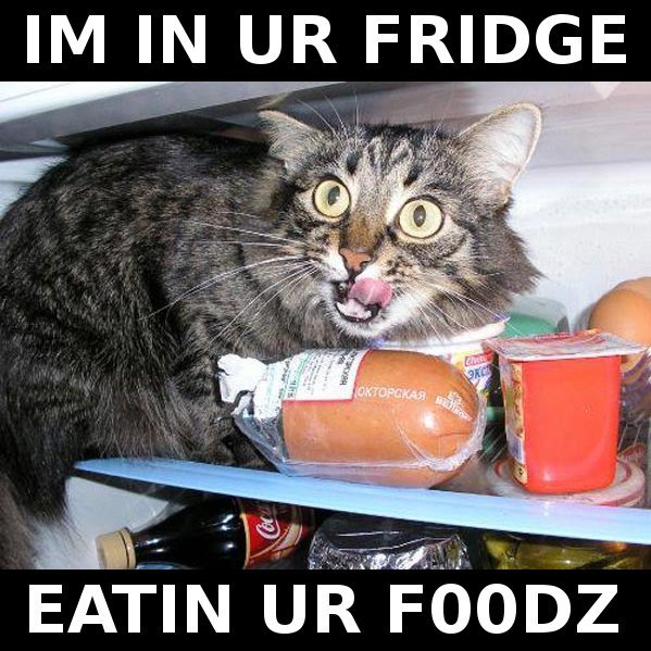 fridge.jpg