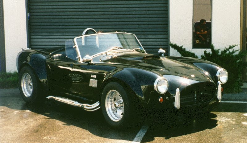 cobra11.jpg