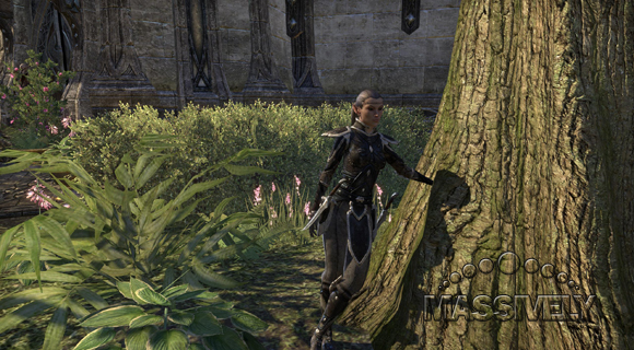 eso_elf_guard.jpg