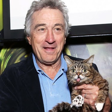 robert-de-niro-lil-bub.jpg