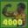 6299.jpg