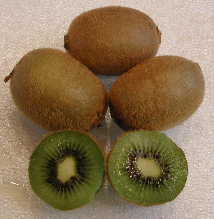 i-kiwi.jpg