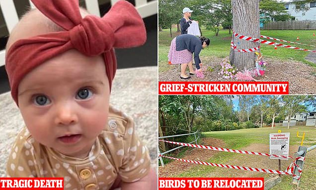 www.dailymail.co.uk