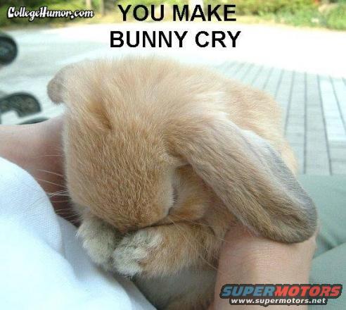 you%20make%20bunny%20cry.jpg