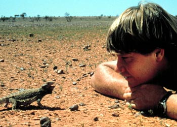 irwin_steve.jpg