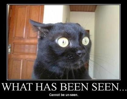 cat_eyes_seen-unseen.jpg