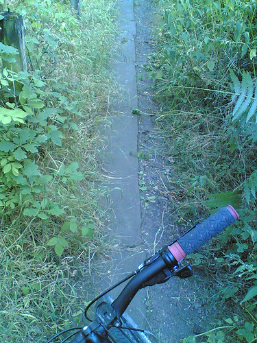 200504164_977b476699.jpg
