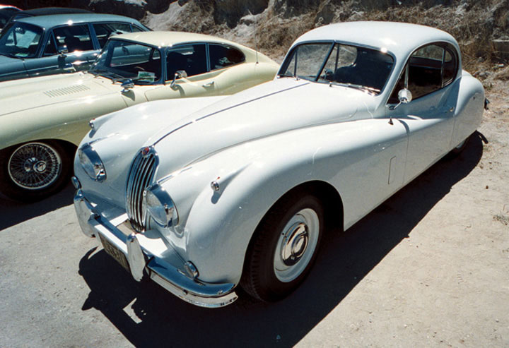 05.jaguar.jpg