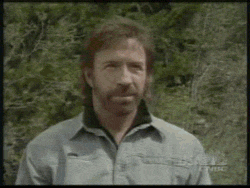oarvswalker.gif
