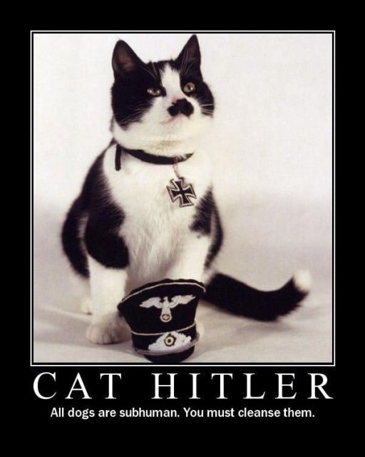 normal_Despair_-_Cat_Hitler.jpg