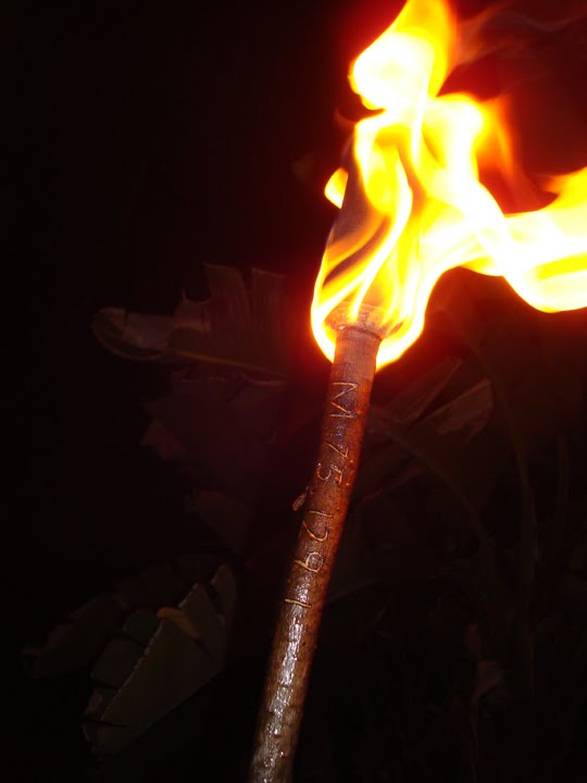 torch1.jpg