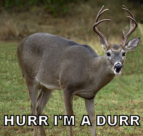 Hurr_285776_905793.jpg