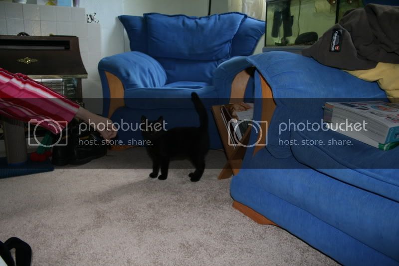 IMG_1239.jpg