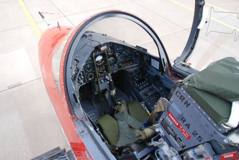 hawkwalkaround0135.jpg
