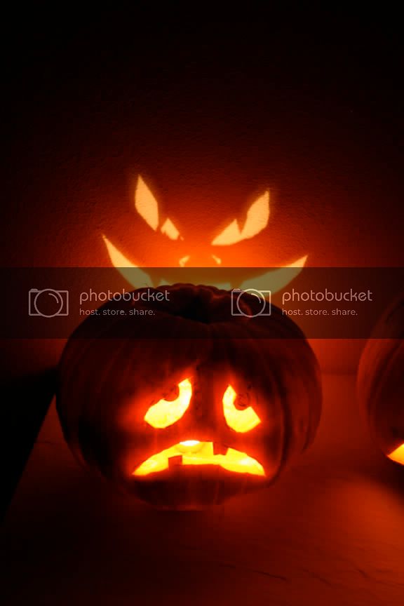IMG_2505.jpg