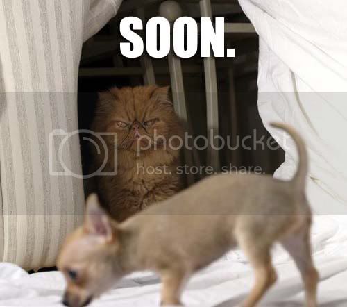 soon2.jpg