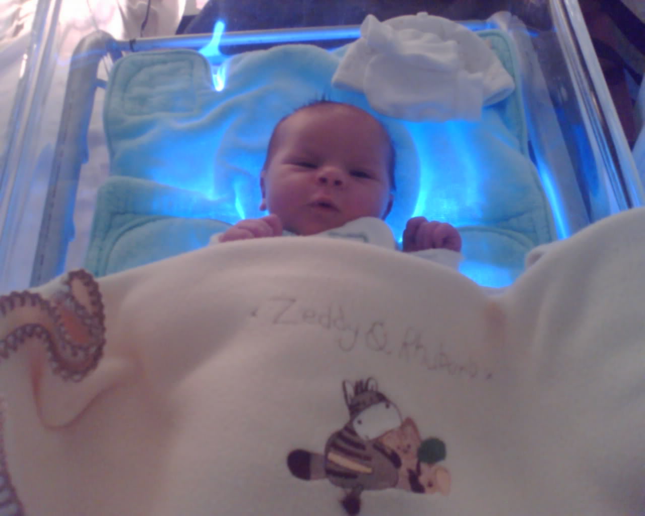 babysisaviour.jpg