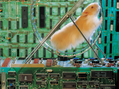 Server_hamster_by_Jackmancer_Gallery.jpg