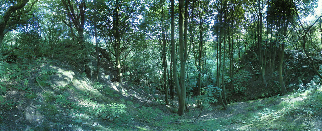 200504157_6adbefeacb_b.jpg