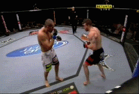 NateMarquardtFinishesWilsonGouveiaU.gif